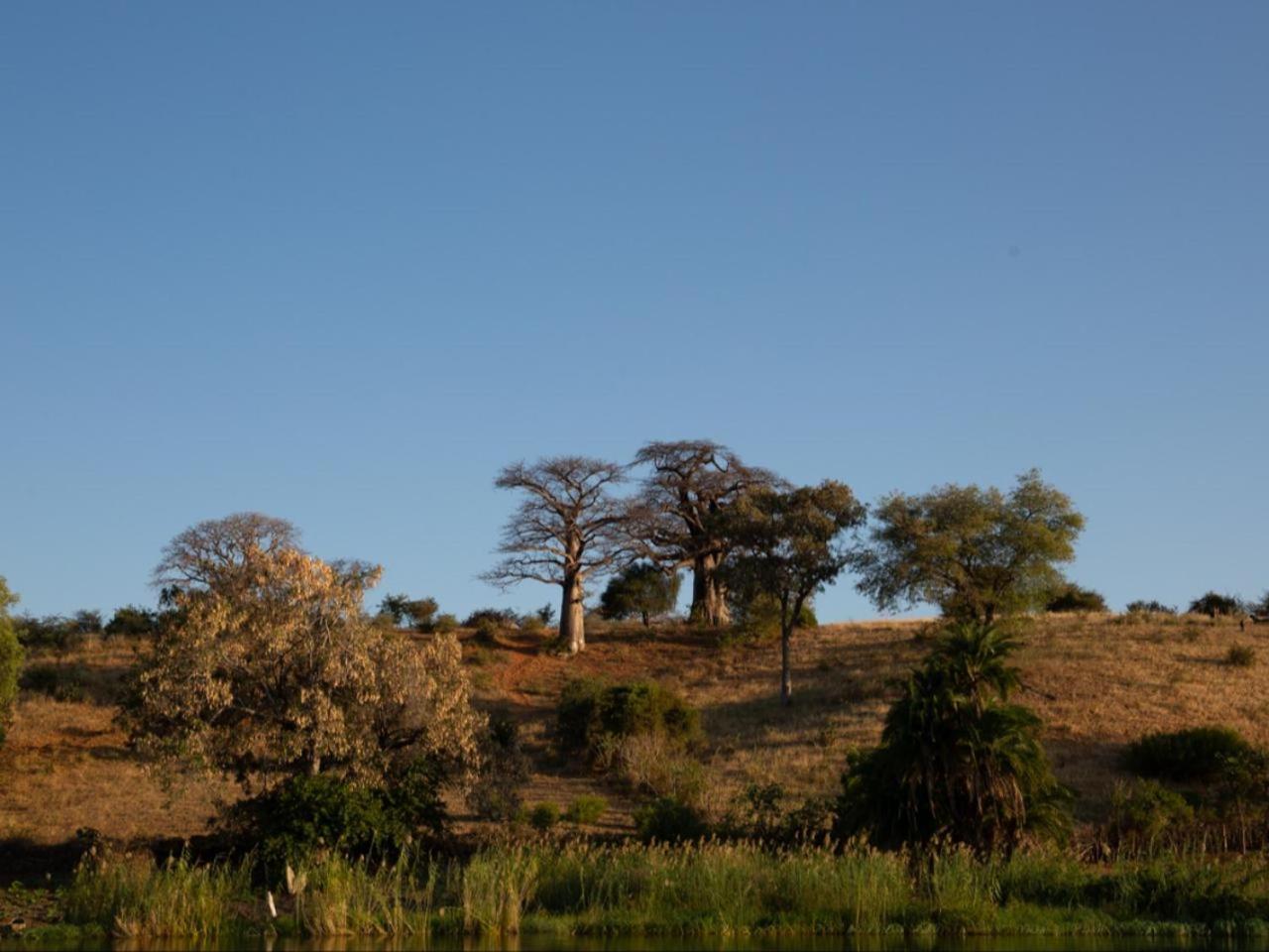 Kayova River Lodge Ndiyona Εξωτερικό φωτογραφία